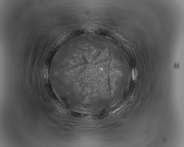 X0000097901155200804041431