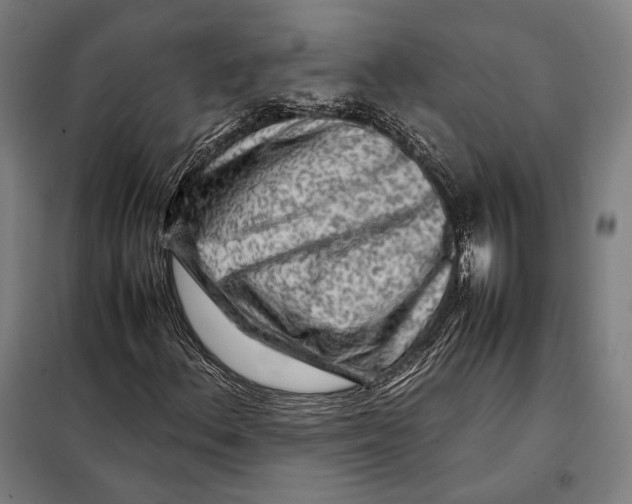 X0000097901156200804041431