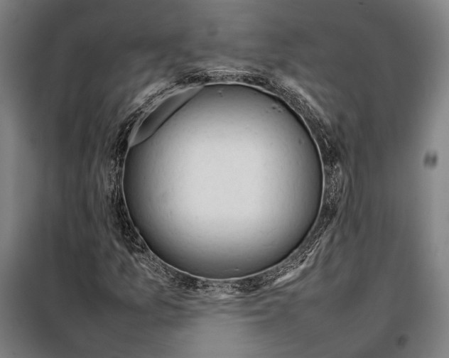 X0000097901157200804041431