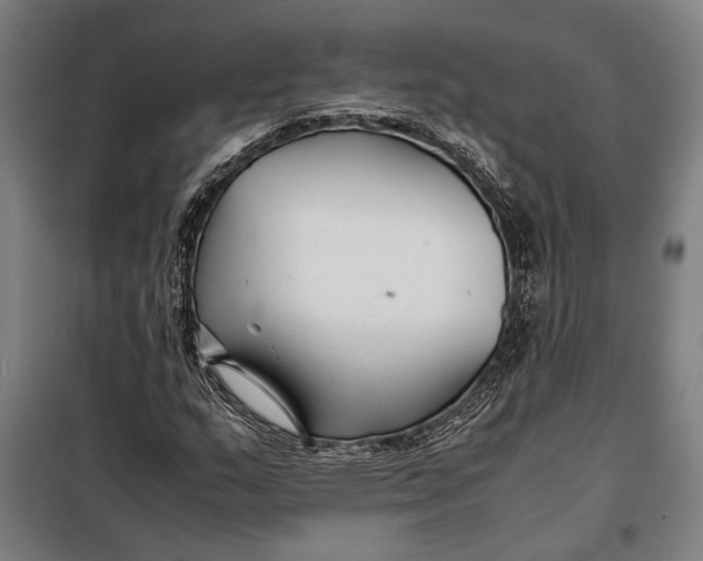 X0000097901159200804041431