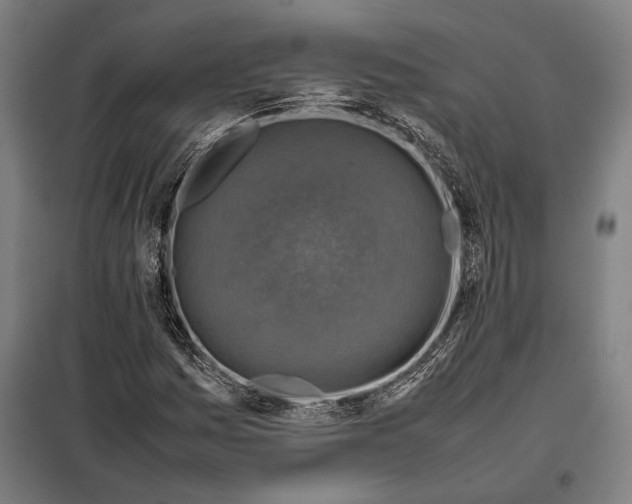 X0000097901161200804041430