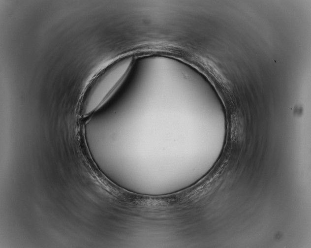 X0000097901164200804041430