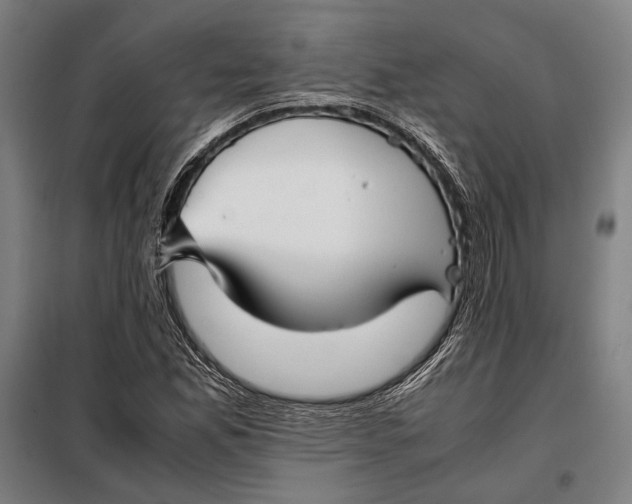 X0000097901165200804041430