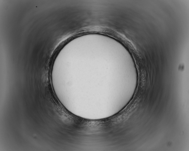 X0000097901166200804041430