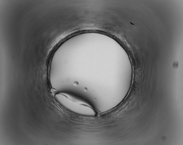 X0000097901167200804041430