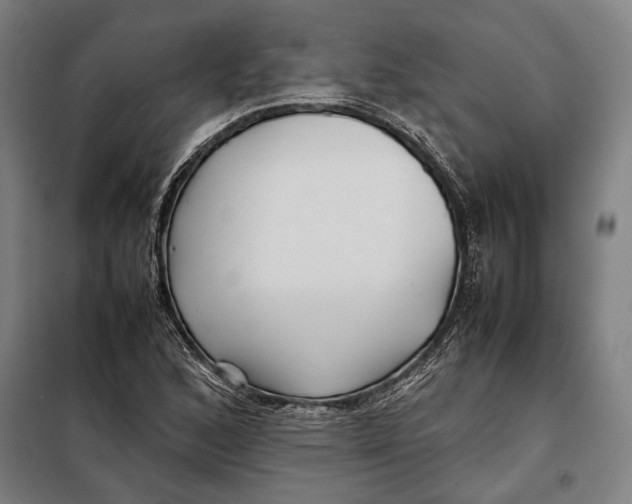 X0000097901168200804041430