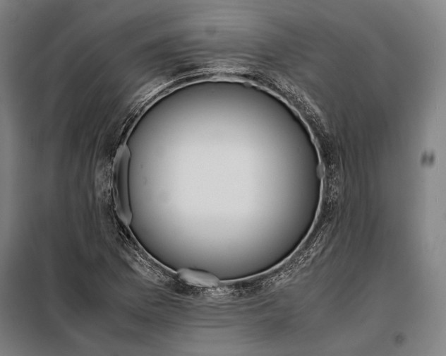 X0000097901169200804041430