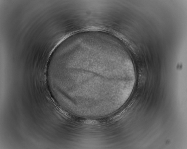 X0000097901170200804041430