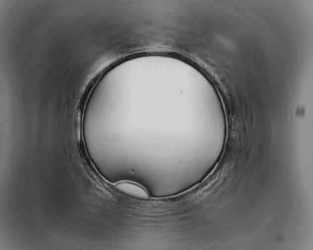 X0000097901171200804041430