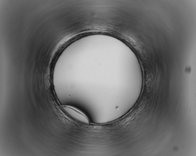 X0000097901172200804041430