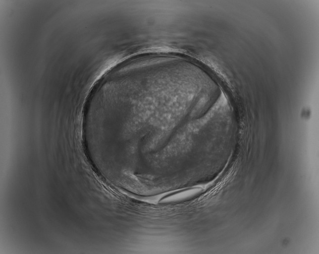 X0000097901173200804041430