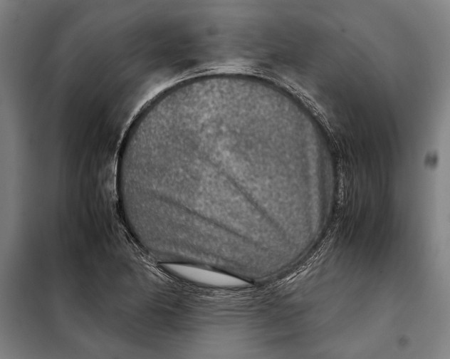 X0000097901174200804041430