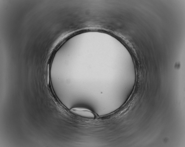 X0000097901175200804041430