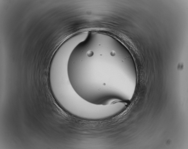 X0000097901177200804041430