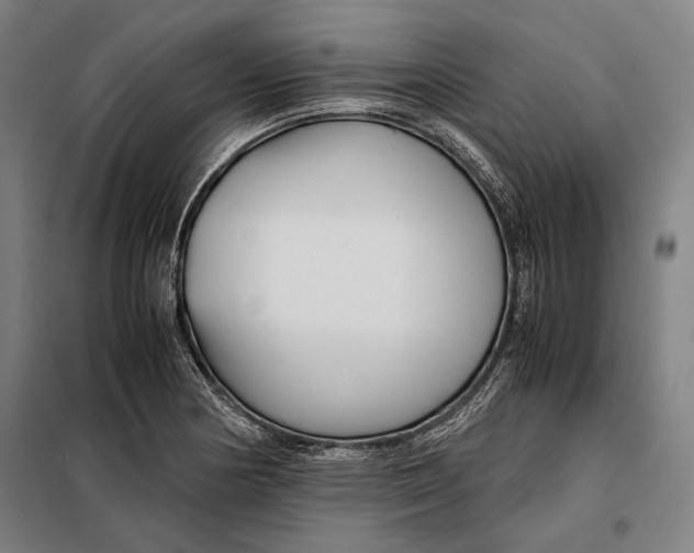 X0000097901178200804041430