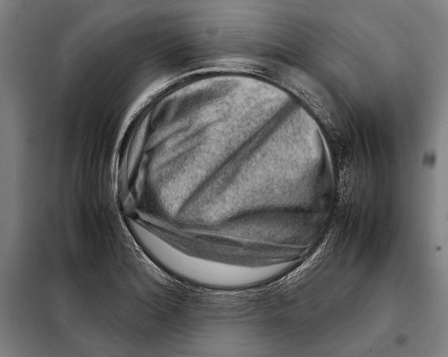 X0000097901180200804041430