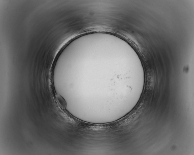 X0000097901182200804041430