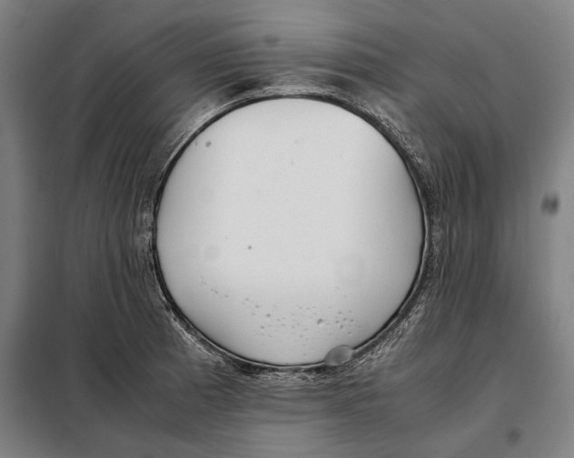 X0000097901185200804041430