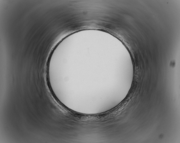 X0000097901187200804041430