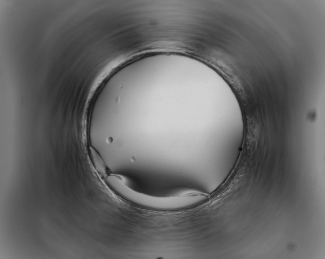 X0000097901188200804041430