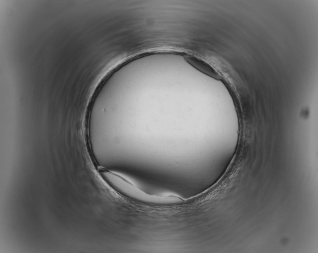 X0000097901189200804041430