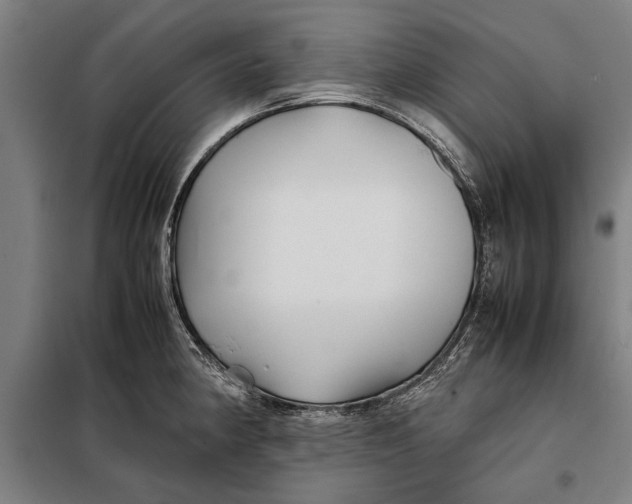 X0000097901190200804041430