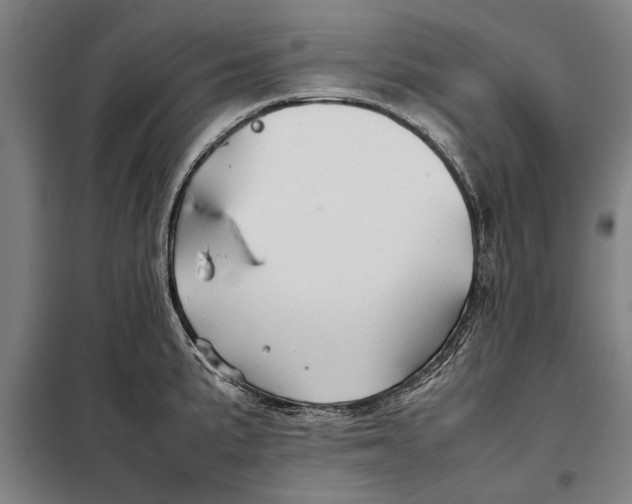 X0000097901191200804041430