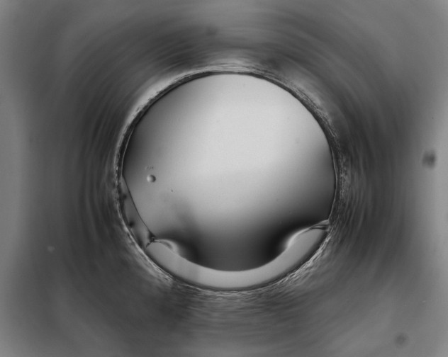 X0000097901192200804041430