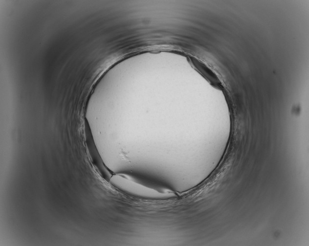 X0000097901193200804041430