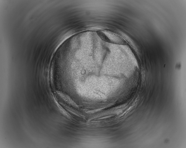 X0000097901194200804041430