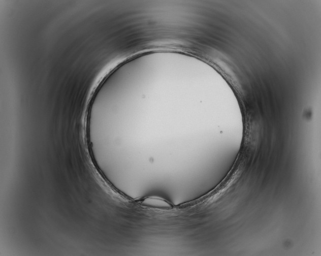 X0000097901196200804041430