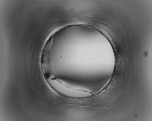 X0000097901197200804041430