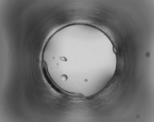 X0000097901199200804041430