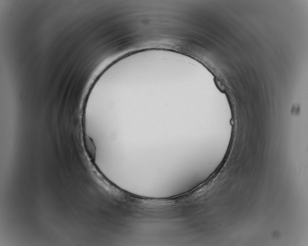 X0000097901200200804041430