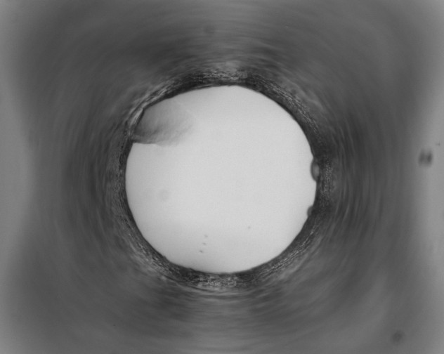 X0000097901201200804041429