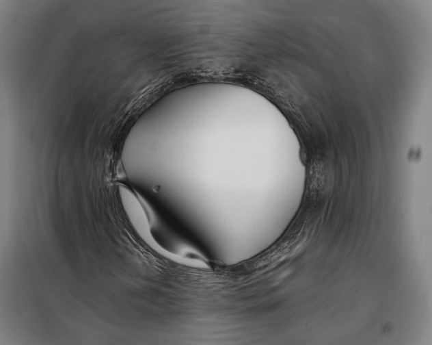 X0000097901202200804041429