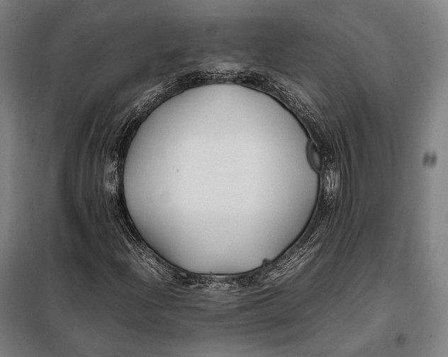 X0000097901204200804041429