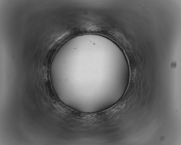 X0000097901205200804041429