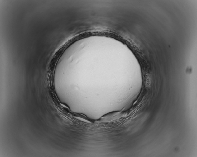 X0000097901208200804041429