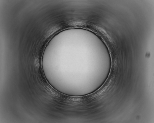 X0000097901209200804041429