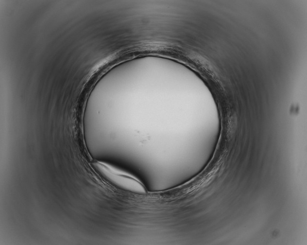 X0000097901210200804041429