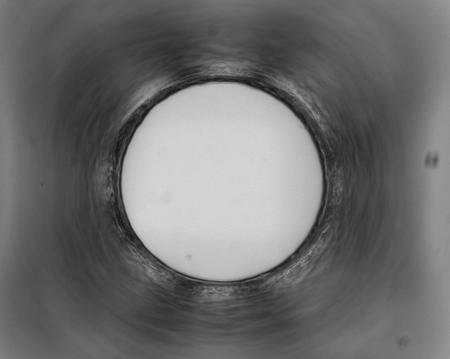 X0000097901211200804041429