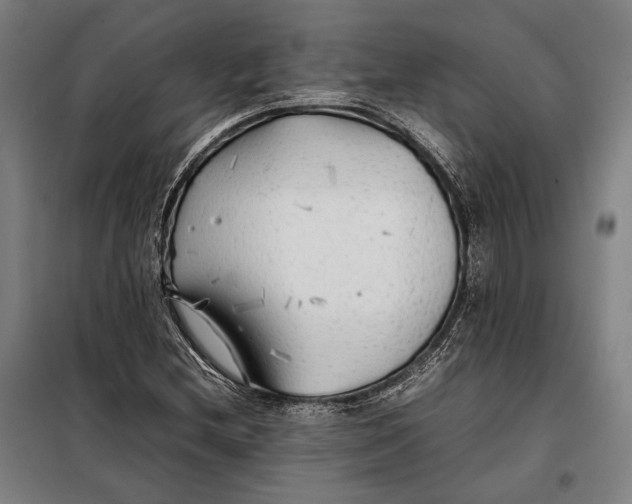 X0000097901212200804041429