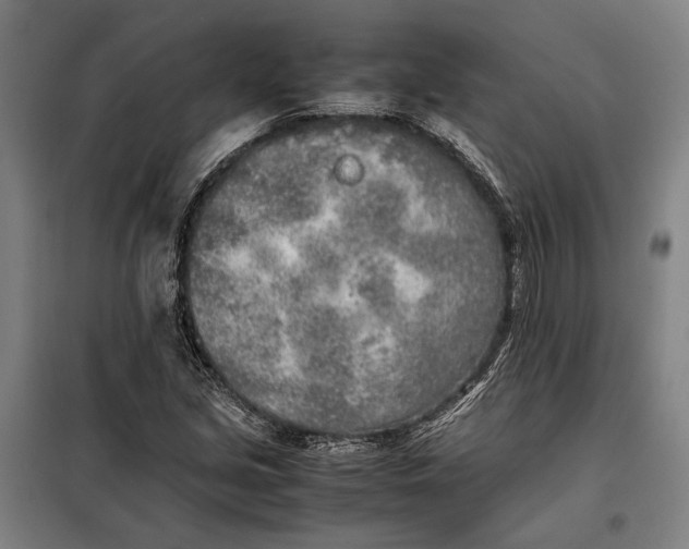 X0000097901213200804041429