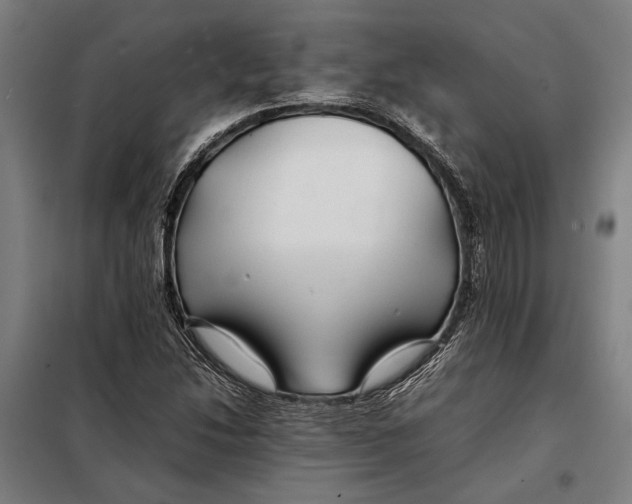 X0000097901214200804041429