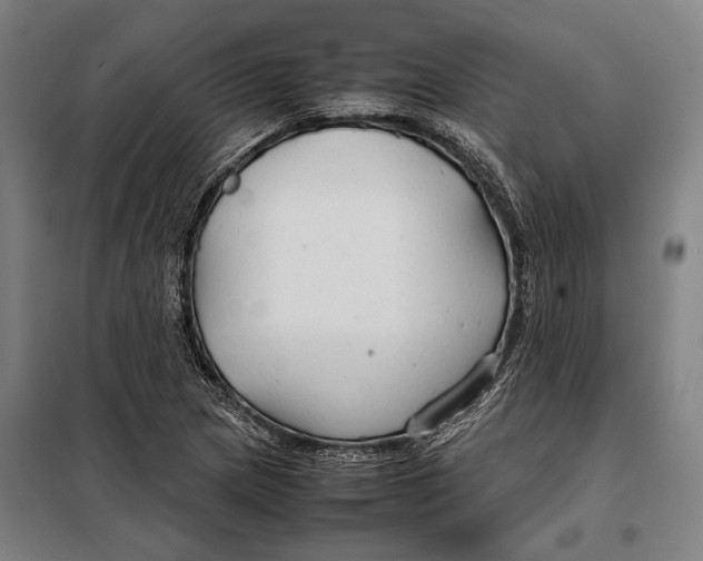 X0000097901217200804041430