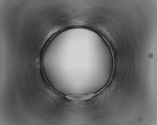 X0000097901218200804041430