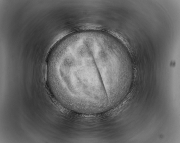 X0000097901219200804041430