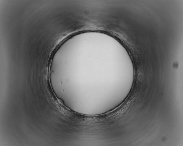 X0000097901220200804041430