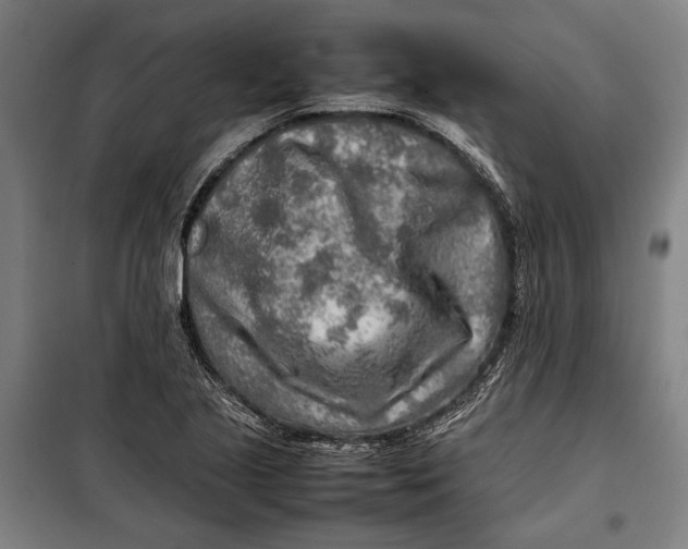 X0000097901221200804041430